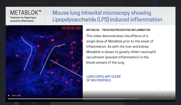 Screen shot of an Arch Biopartners Science Video